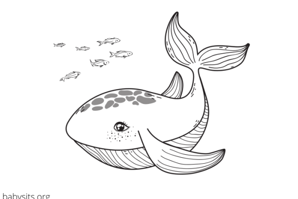 Free printable sea animals coloring pages