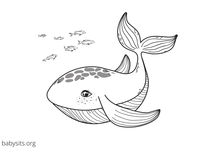 Free printable sea animals coloring pages