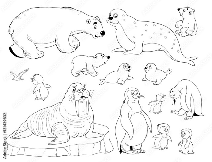 Arctic animal coloring sheets