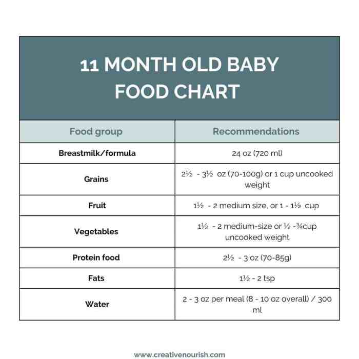 Baby month food old ideas finger foods examples