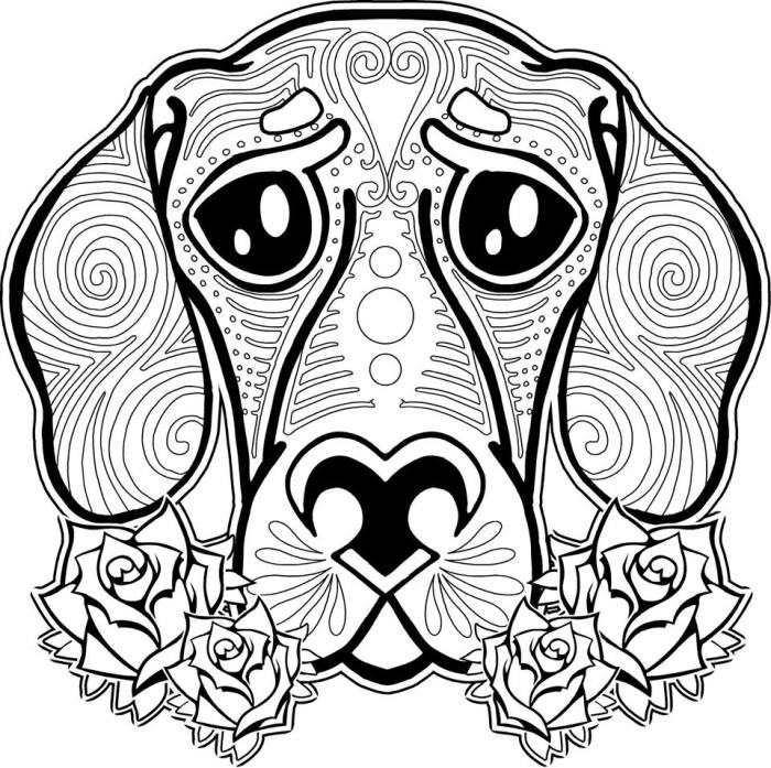 Awesome animal coloring pages