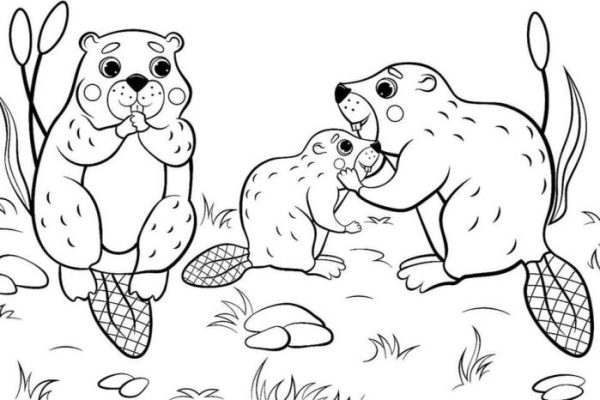 Animal coloring page printable