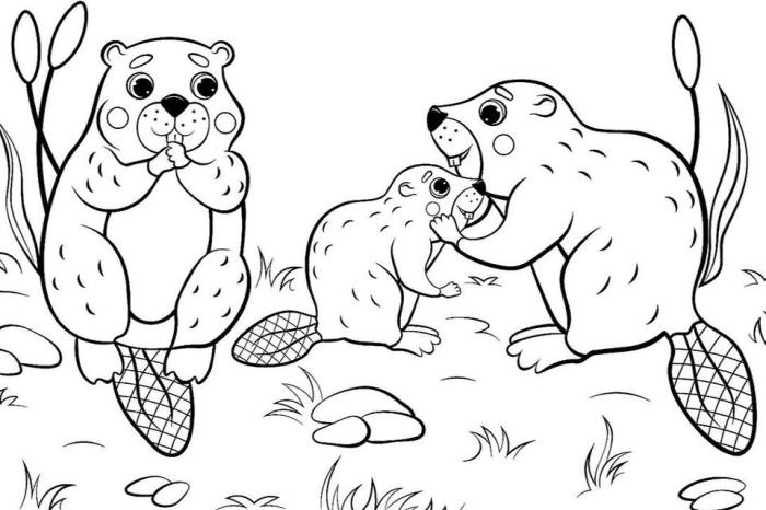 Animal coloring page printable