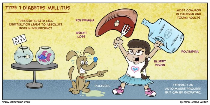 Diabetes mellitus bei kindern ernährung