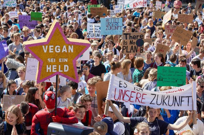 Vegane ernährung kinder strafbar deutschland