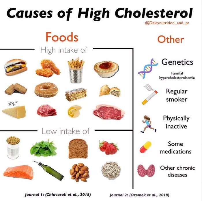 Cholesterin bei kindern ernährung