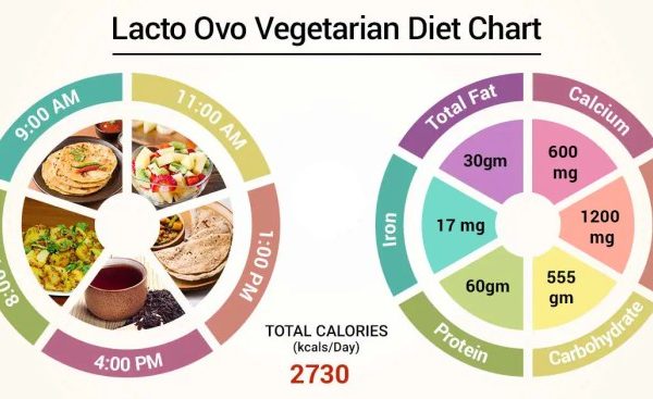 Ovo lacto vegetarische ernährung kinder