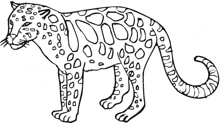 Wild animals coloring pages