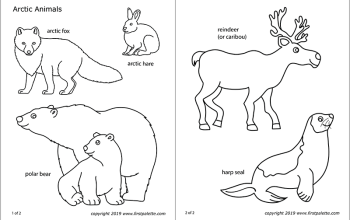 Arctic animal coloring sheet