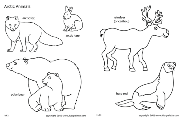 Arctic animal coloring sheet