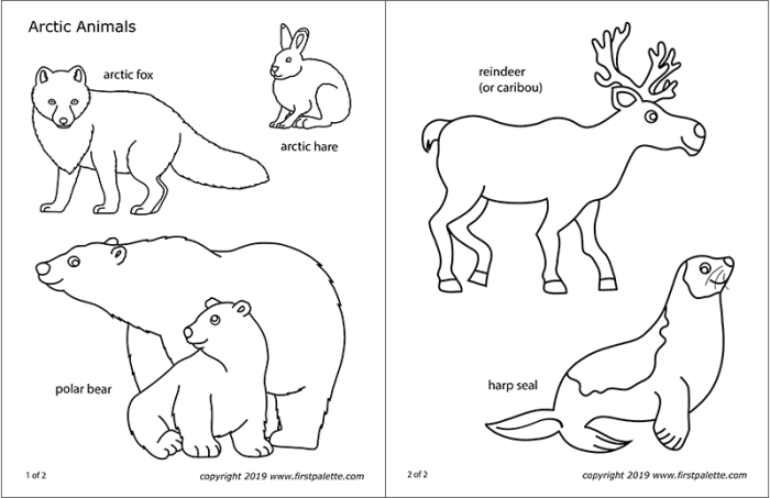 Arctic animal coloring sheets