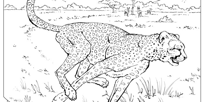 Animal coloring page printable