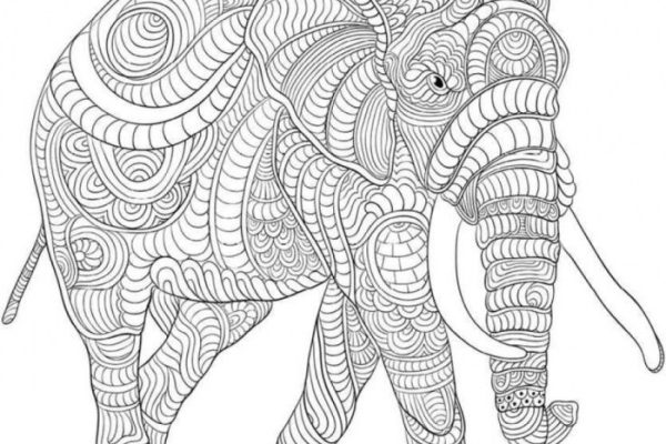 Animal coloring pages hard