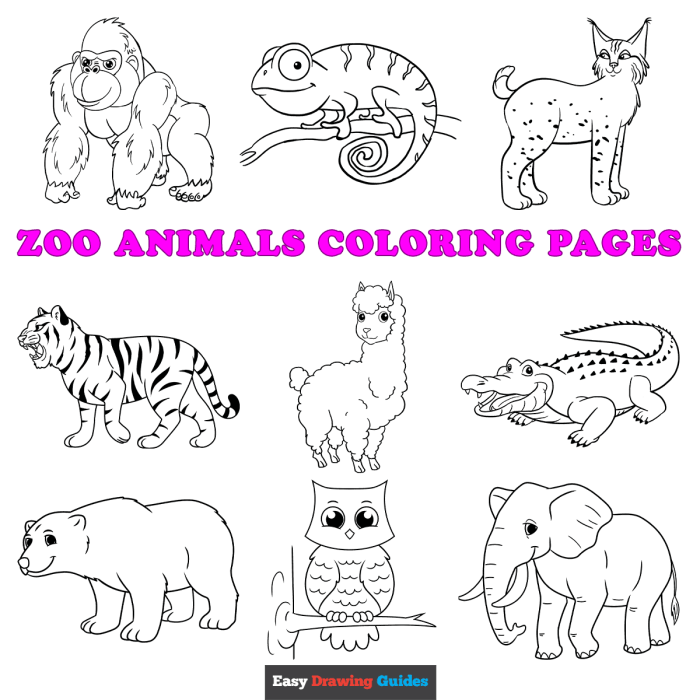 Coloring pages of zoo animals