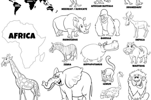 African animal coloring book