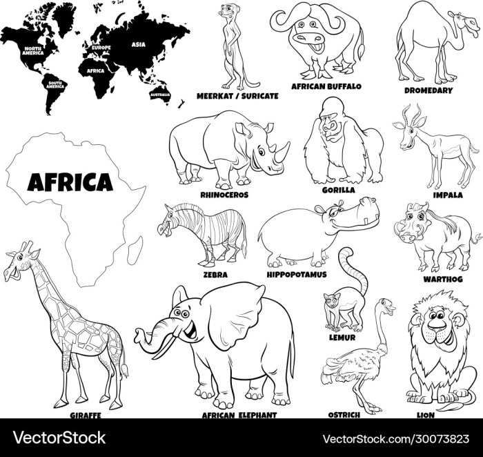 African animal coloring book