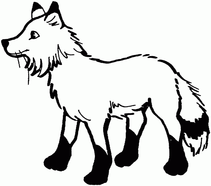 Fox cute animal coloring pages