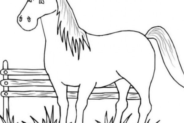 Kindergarten farm animals coloring pages