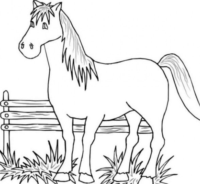 Kindergarten farm animals coloring pages