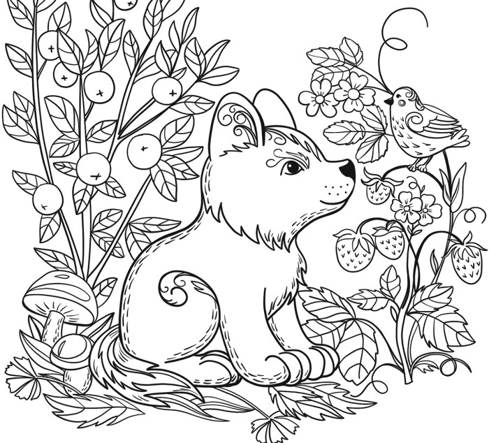 Free animal coloring sheets