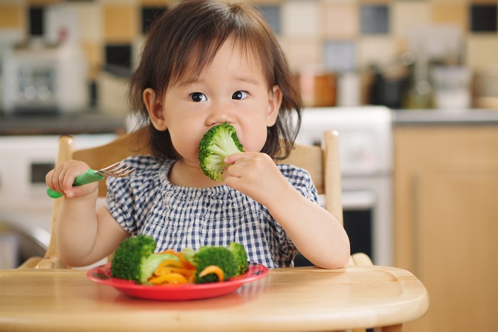 Wie ernähre ich meine kinder gesund