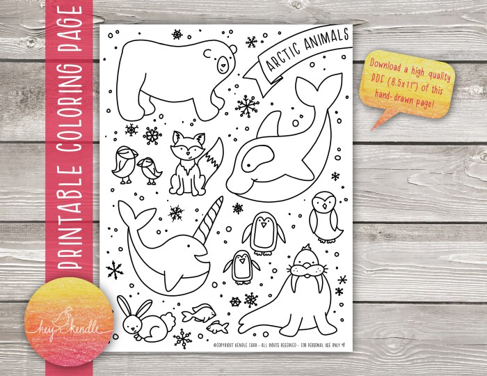 Arctic animal coloring sheet