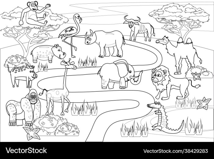 Animal safari coloring pages