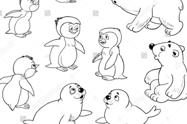 Arctic animal coloring sheets