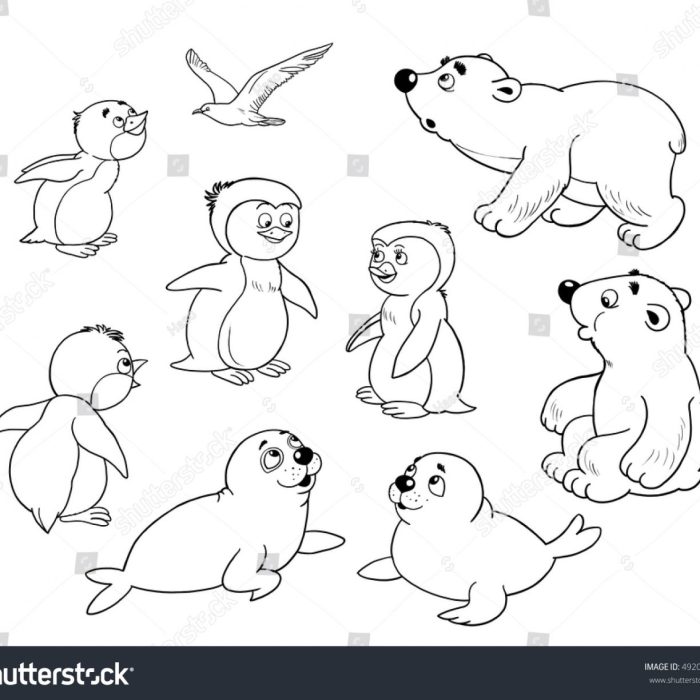 Arctic animal coloring sheets