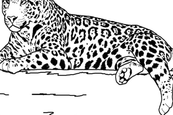 Realistic coloring pages of animals