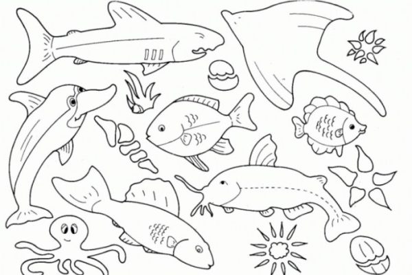 Animals coloring kids book sea ideas