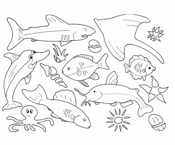 Animals coloring kids book sea ideas